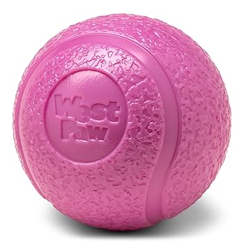 WestPaw Boundr Large Hot Pink