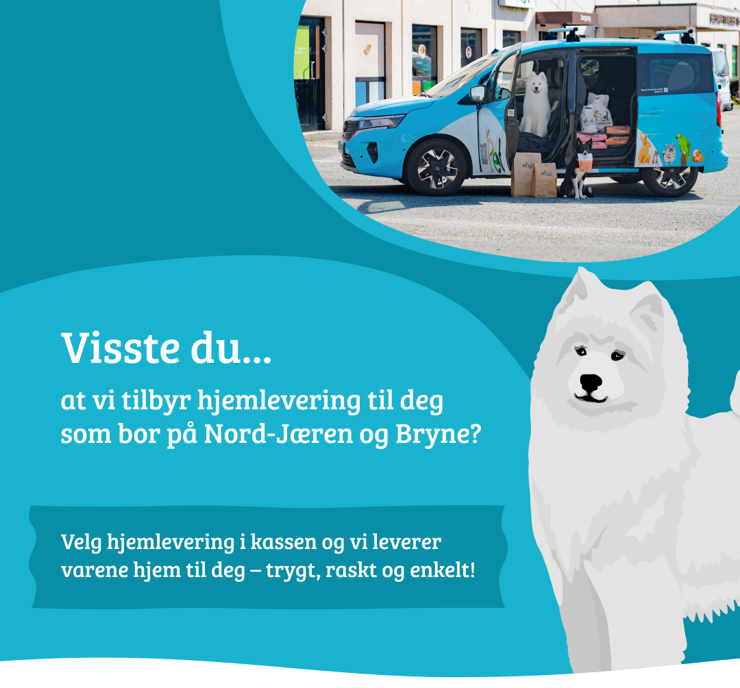 1Mobilbanner uten CTA