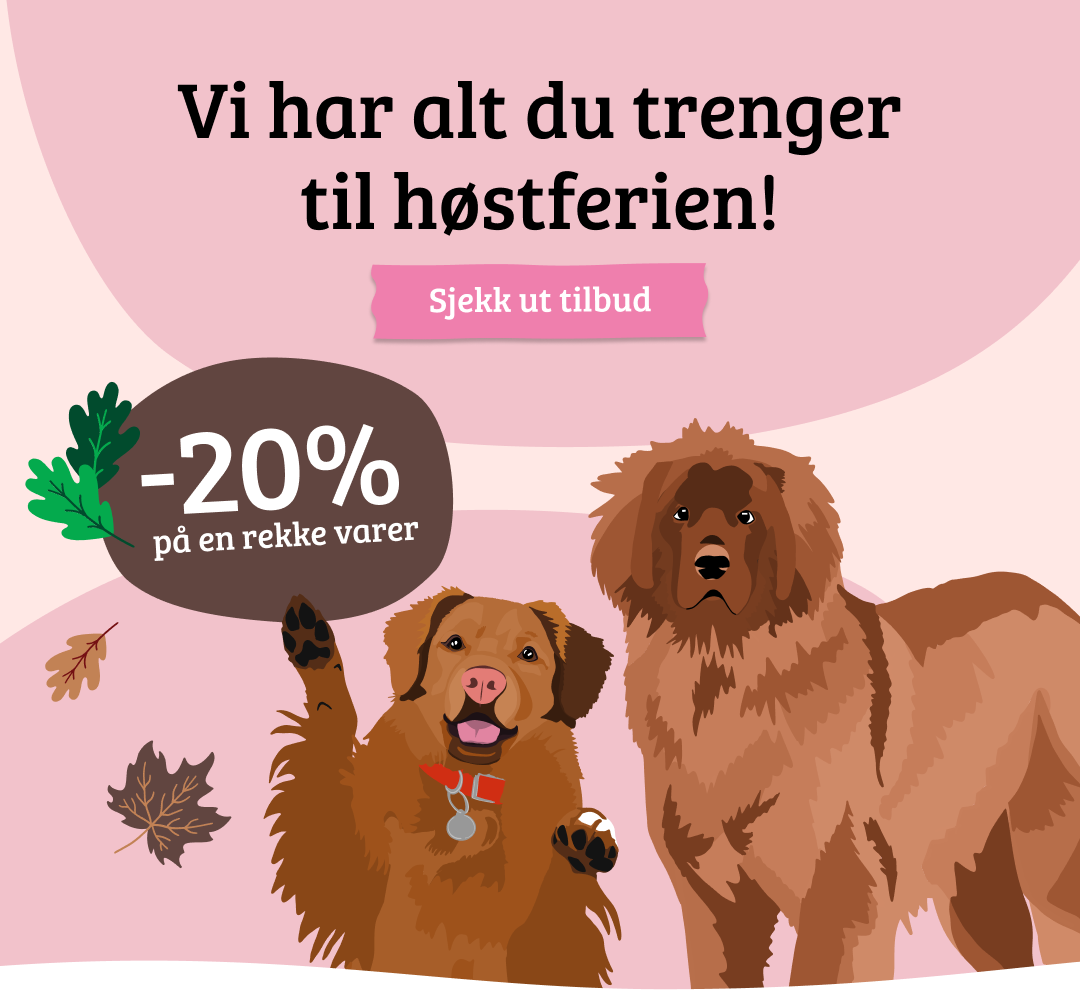 Mobilbanner med CTA