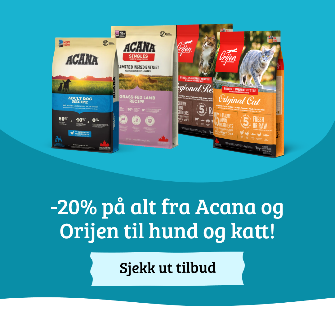 Mobilbanner med CTA (2)