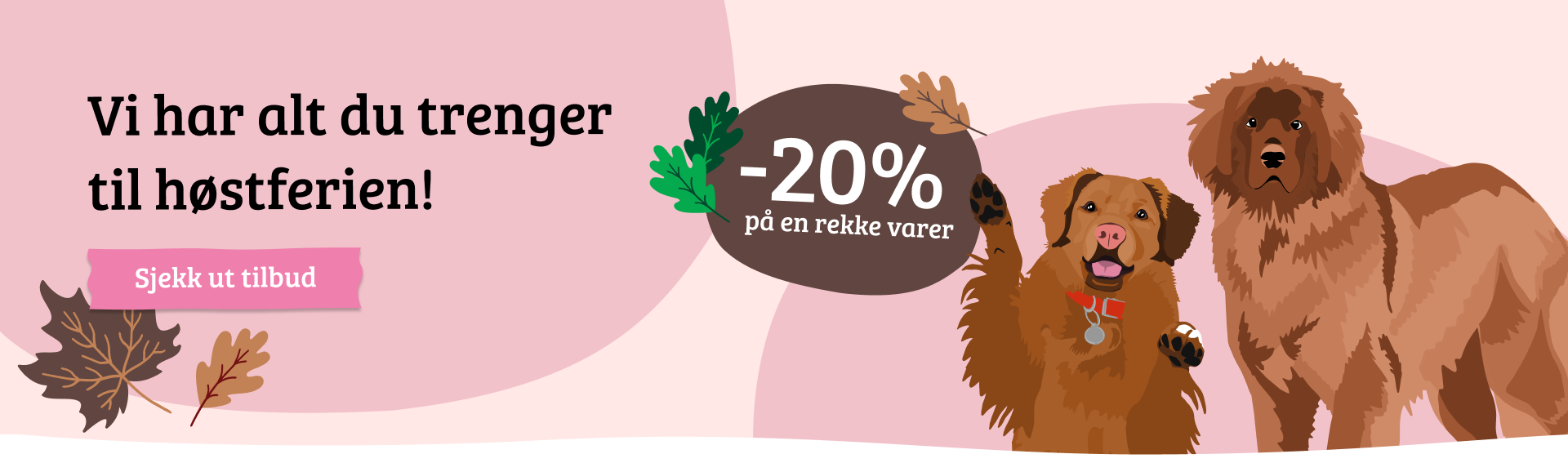 Nettsidebanner med CTA