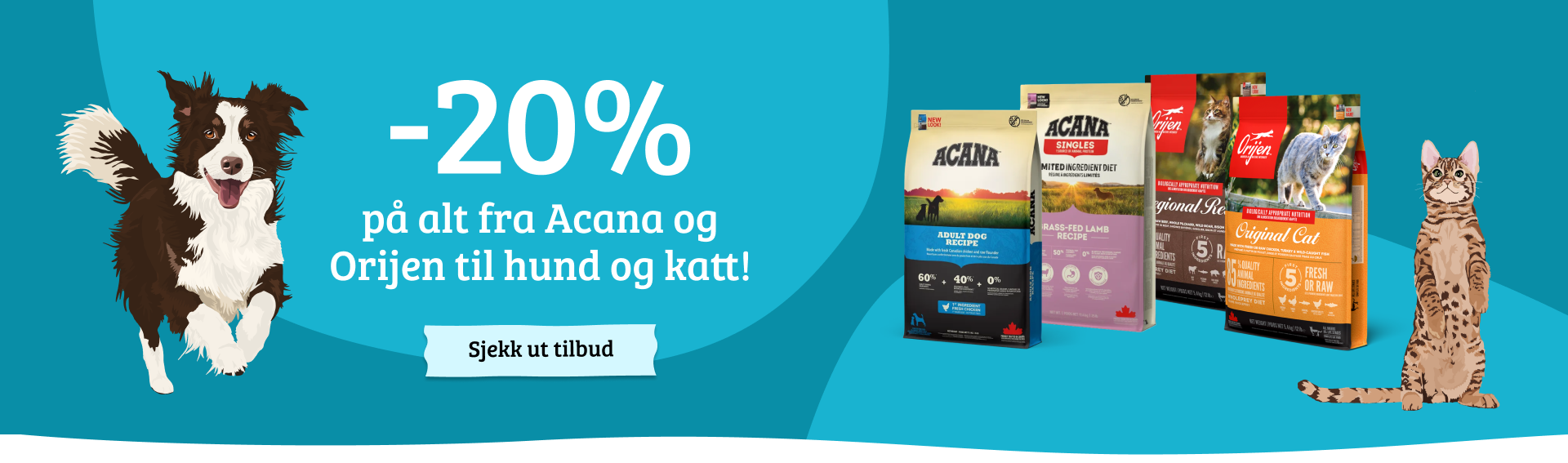 Nettsidebanner med CTA (5)