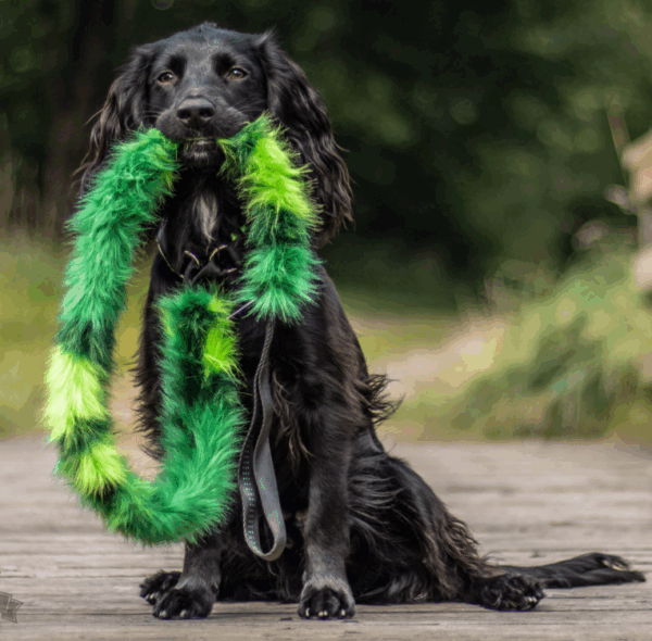 Doggie-Zen Agilitykobbel m/dralekestykke grønn camo 120cm L