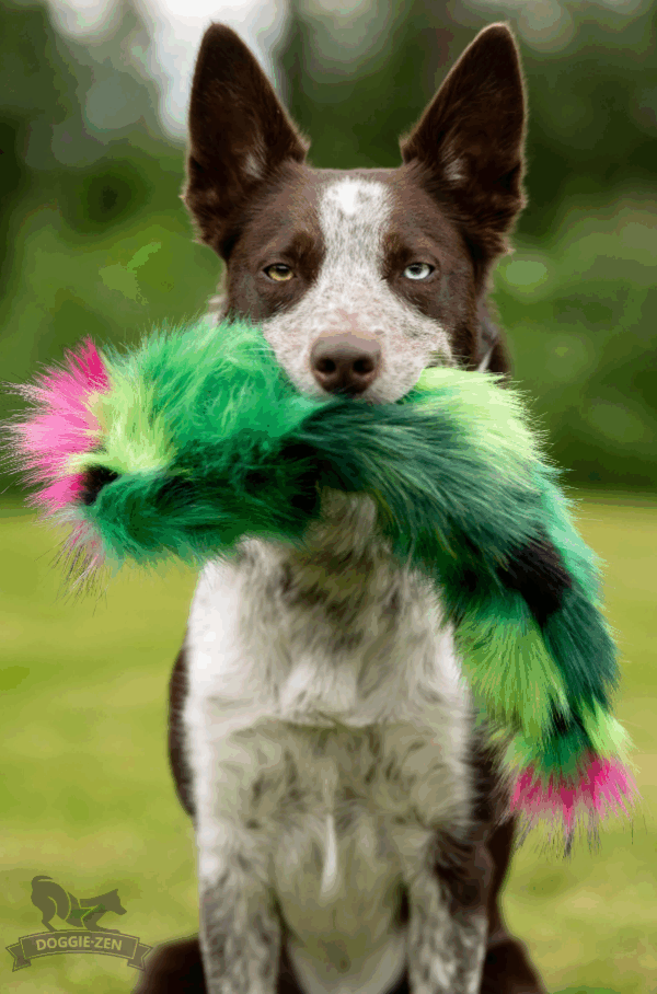 Doggie-Zen draleke pipekaktus cotton candy