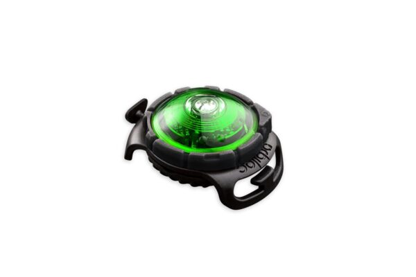Orbiloc dog safety light grønn