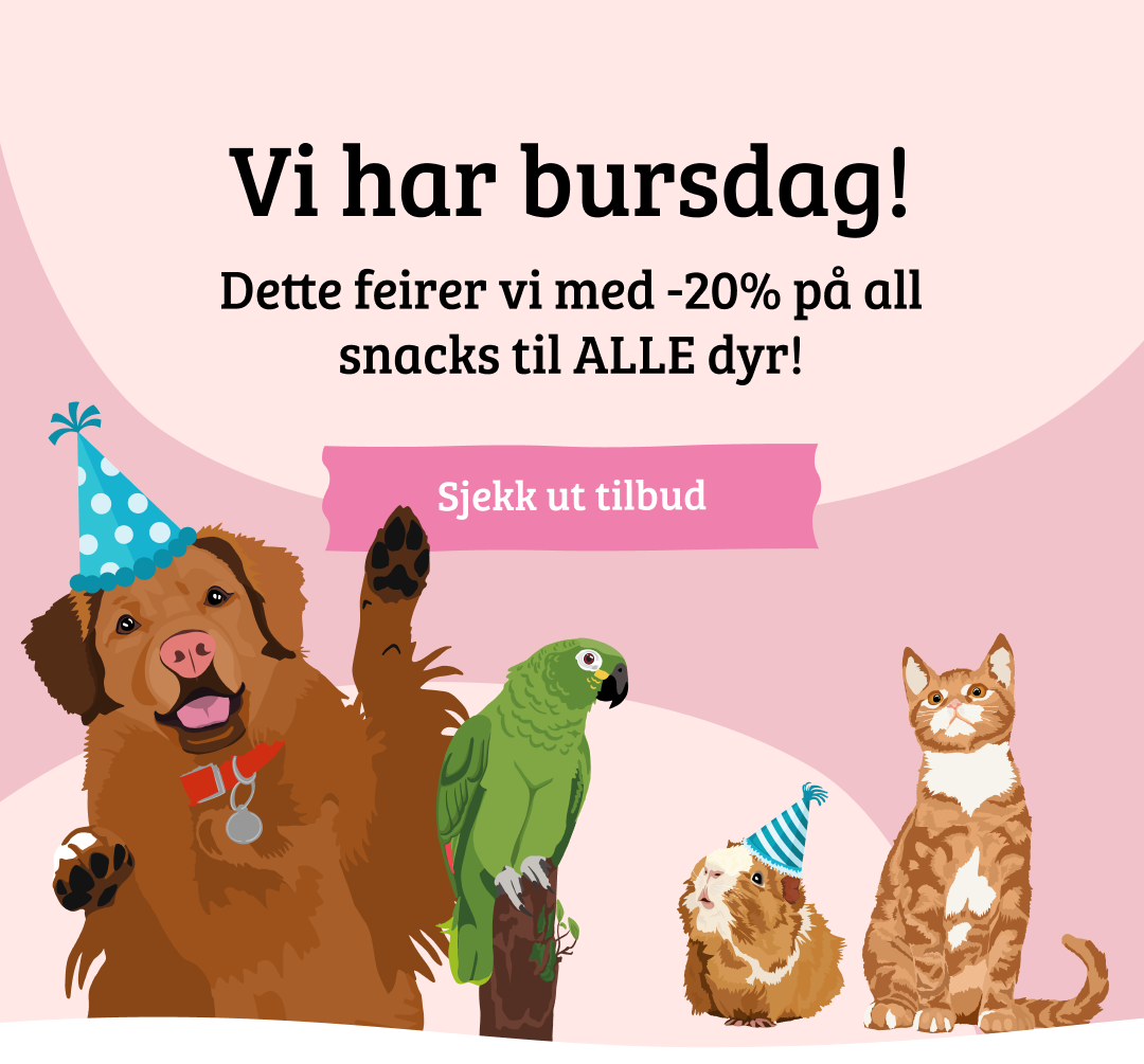 Snackskampanje og bursdagskampanje - snacks til alle dyr