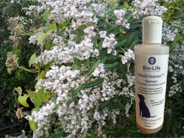 Bio-Life MediCleanse Sjampo Hund (Allergihemmende) 250ml