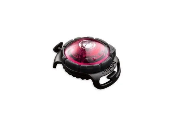 Orbiloc dog safety light rosa