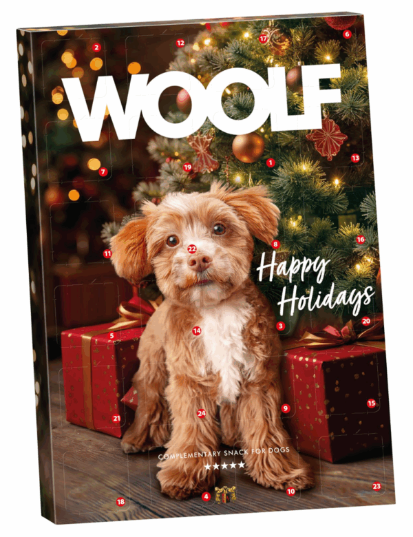 Woolf Julekalender hund