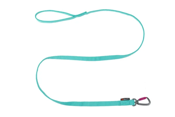 Non-Stop Dogwear Bungee leash aqua 23mmx2m