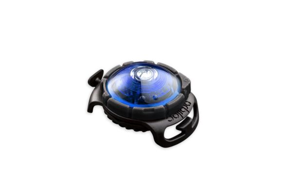 Orbiloc dog safety light blå