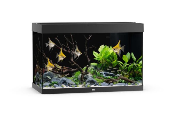 Juwel Akvarie Rio Led Svart 290L