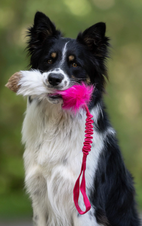 Doggie-Zen draleke tricolour kanin, sau og luksuspels M