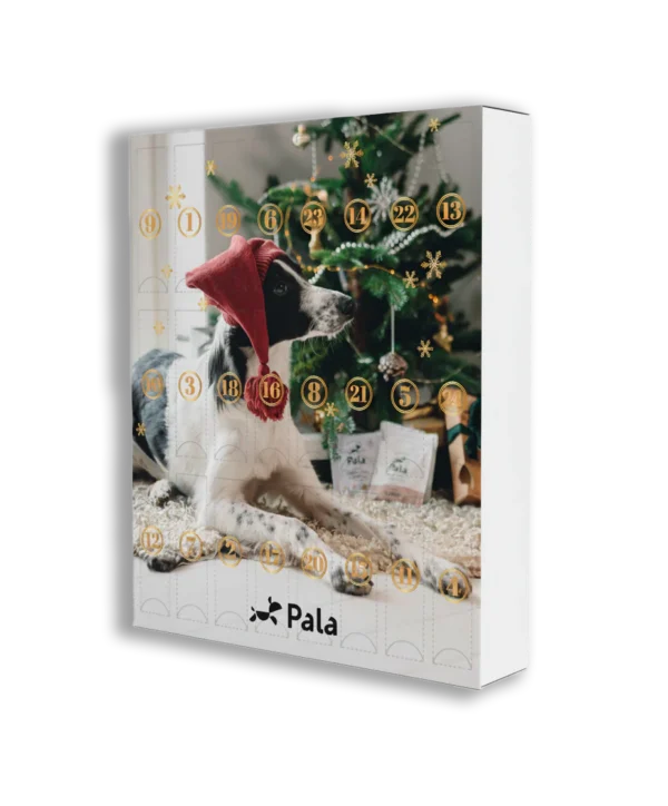 Pala Advent Calender
