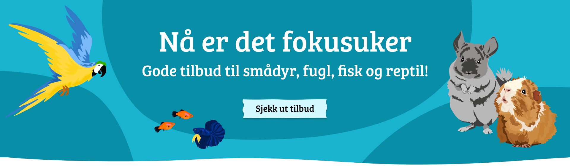 Nettsidebanner med CTA