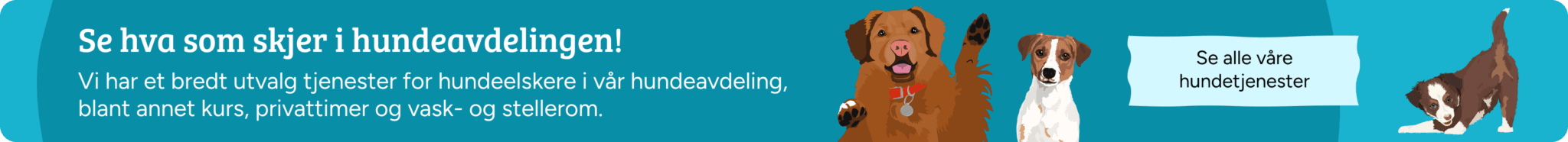 Hundeavdeling (1)