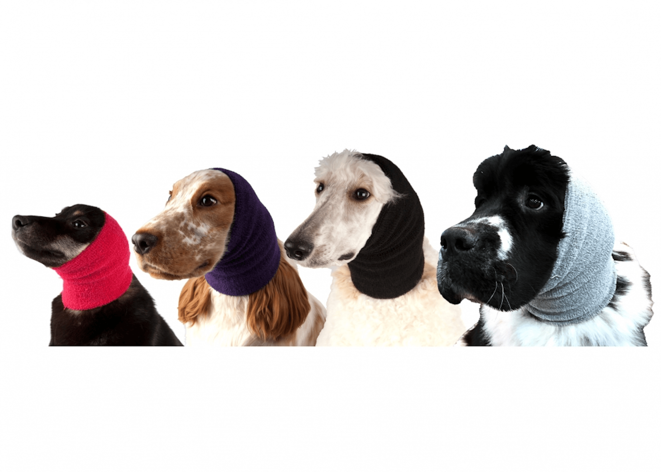Show Tech Ear Buddy XL