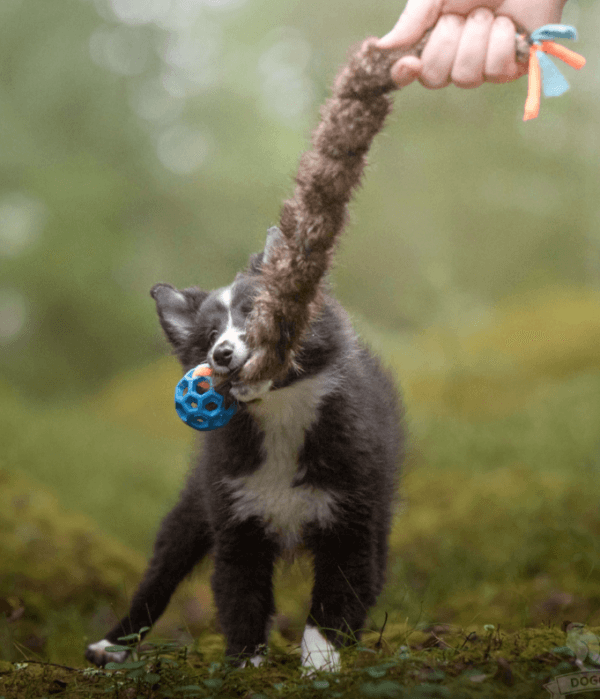 Doggie-Zen Draleke fleece- og beverpelsflette m/Hol-ee Rollerball m/pip XS 50cm