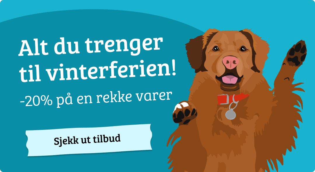 Mobilbanner med CTA (3)