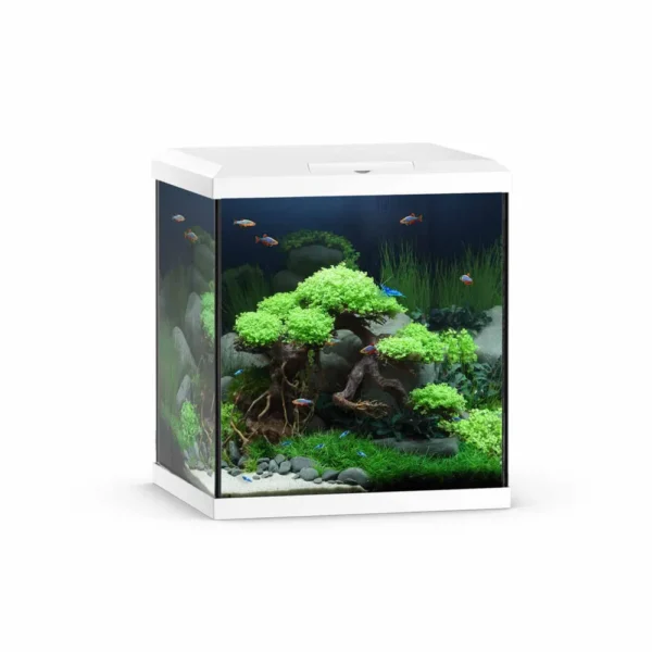 Juwel Akvarium Vio Cube hvit 54L 41x36x47cm