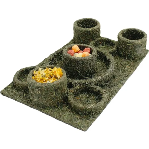 JR Farm Back to Instinct Fun Park 28x18x5cm