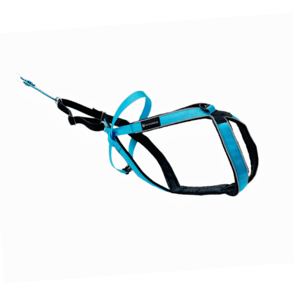 VIP Dogwear Multisport Sele Turkis 2.0 (lang utgave) str 7