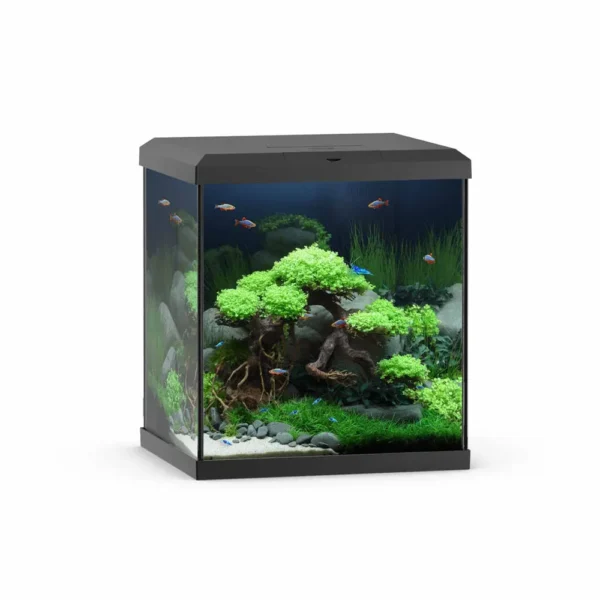 Juwel Akvarium Vio Cube svart 54L 41x36x47cm