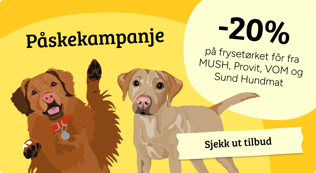 Mobilbanner med CTA 1