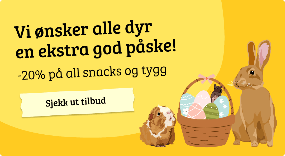 Mobilbanner med CTA 2