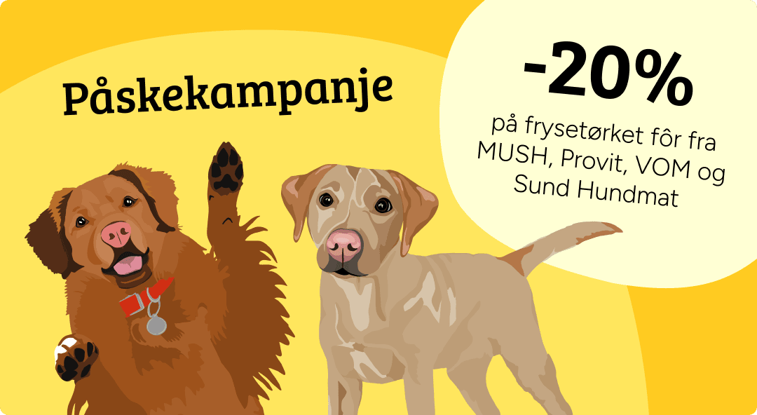 Mobilbanner uten CTA 1