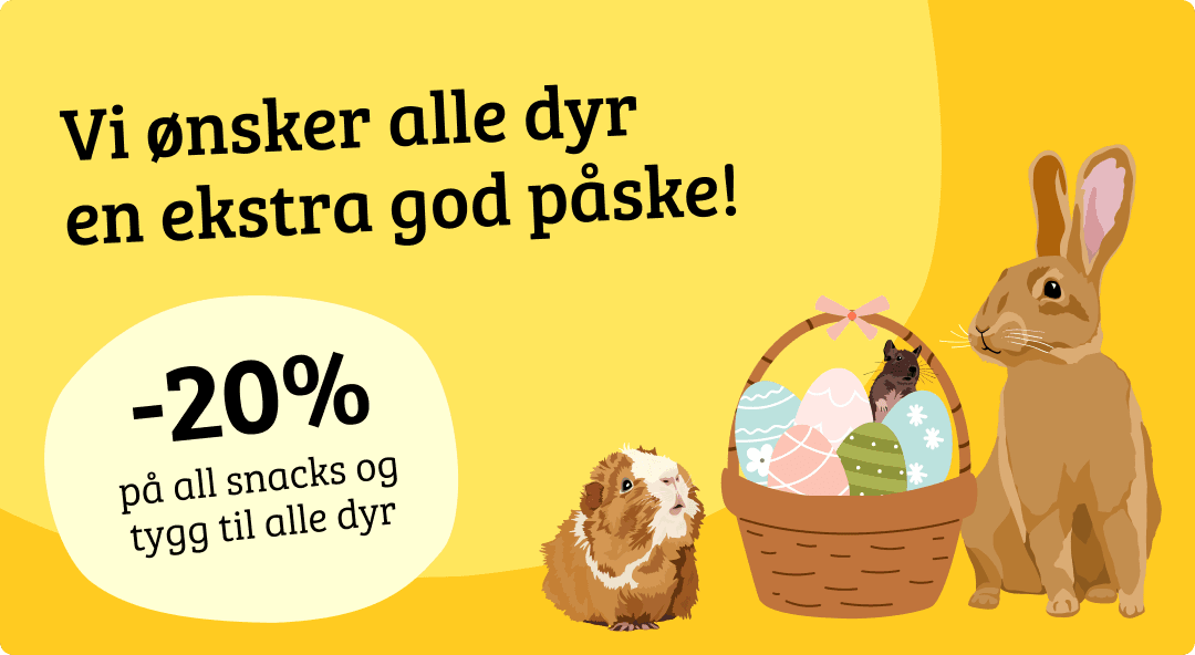 Mobilbanner uten CTA 2