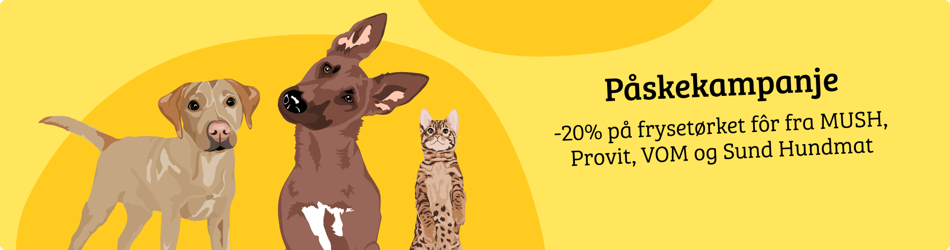 Nettsidebanner uten CTA-1