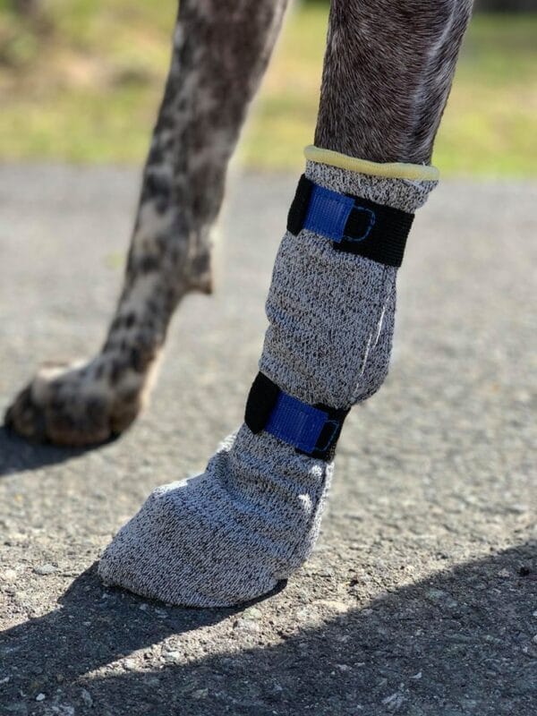 VIP Dogwear Potesokker Universal Høy M 4pk