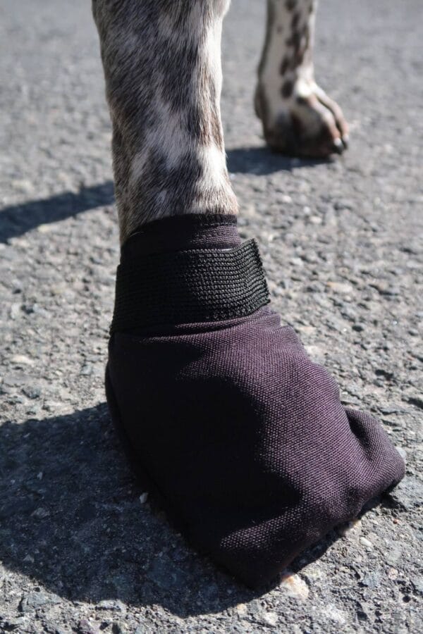 VIP Dogwear Potesokker Comfort Fleece XXL 4pk