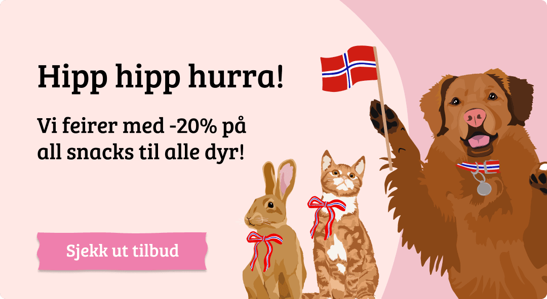 Mobilbanner med CTA