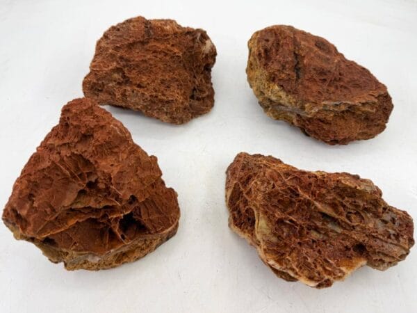 4FISH Maple Leaf Stein 15-25cm løsvekt 1kg