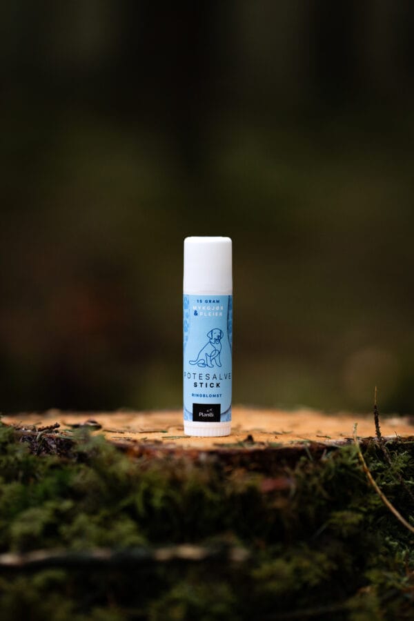 PlanBi Potesalve stift Ringblomst 15g