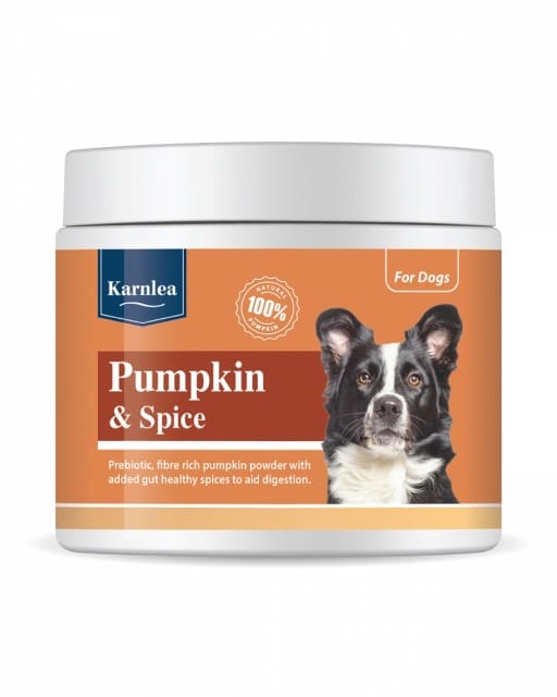 Karnlea Pumpkin & Spice 200g