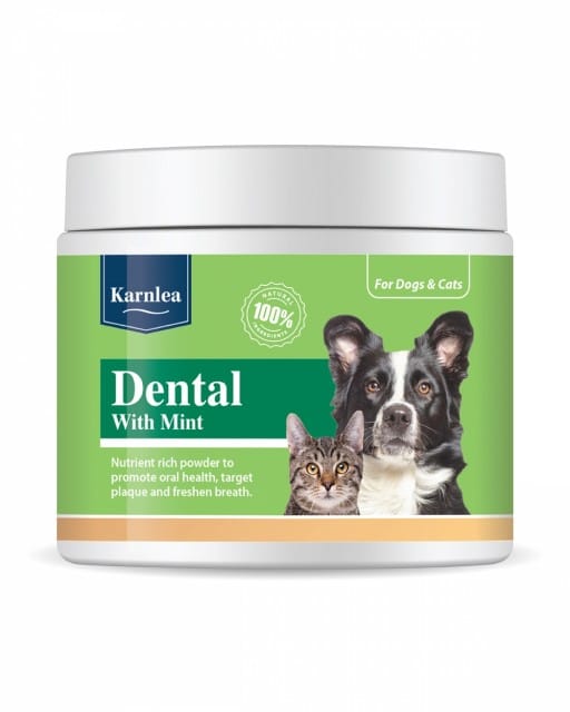 Karnlea Dental with Mint 200g