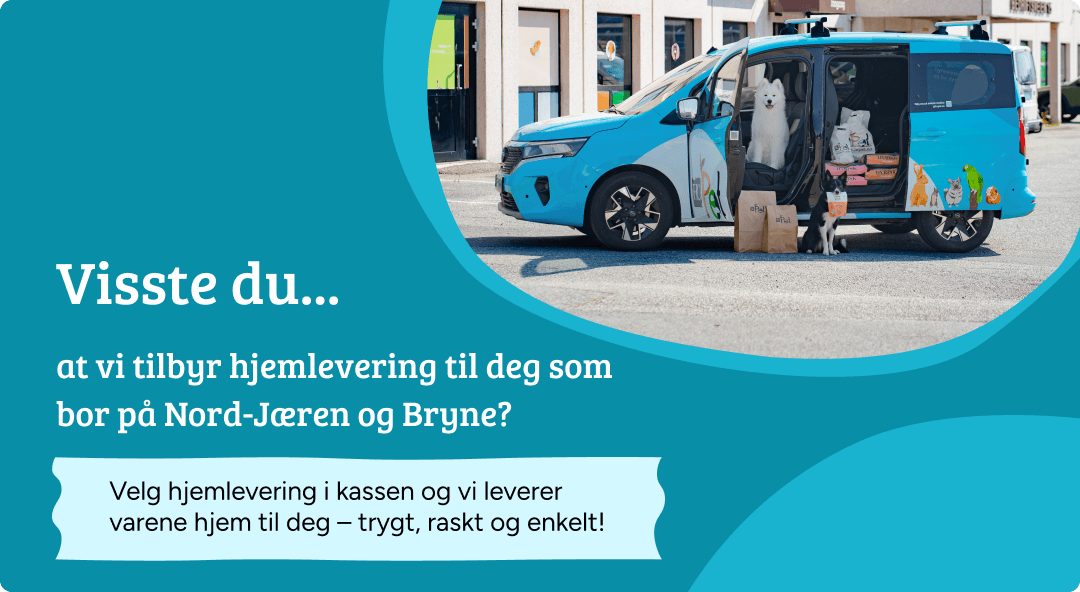 Mobilbanner Hero Hjemlevering