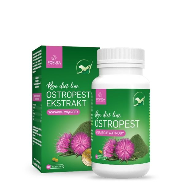 Pokusa Milk thistle 120 tabletter