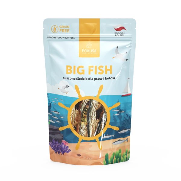 Pokusa Big Fish 60g