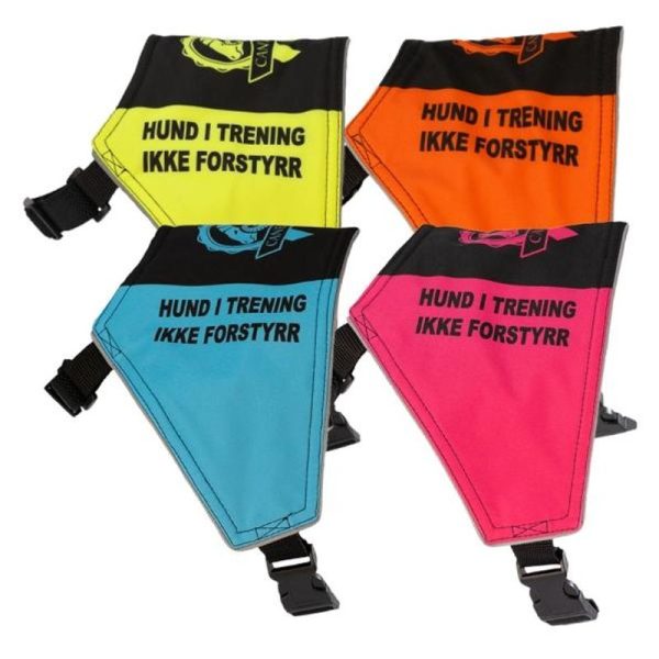 Canelana markeringsdekken/tjenestetegn "Hund i trening - Ikke forstyrr" oransje/svart X-Large