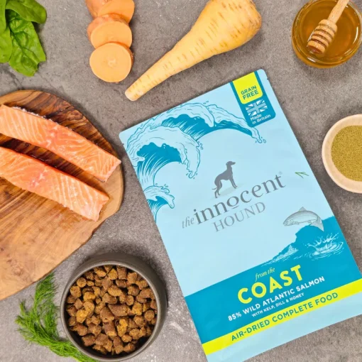 the Innocent Hound Air-dried food Coast Salmon 70g