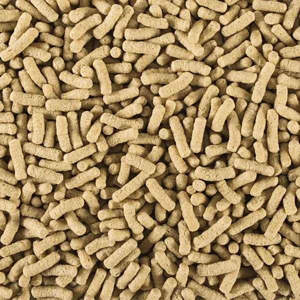 Tropical Pond Sticks Daily BASIC 50L/6kg