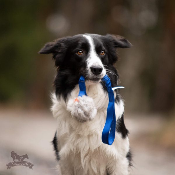 Doggie-Zen draleke Chuckit Breate-ball kanin & fleece L med strikk & pip