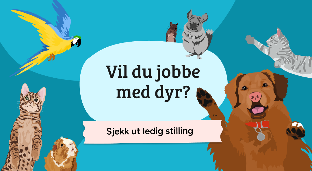 Mobilbanner Ledig stilling