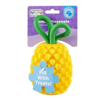 Outward Hound Dental Pineapple 2-in-1