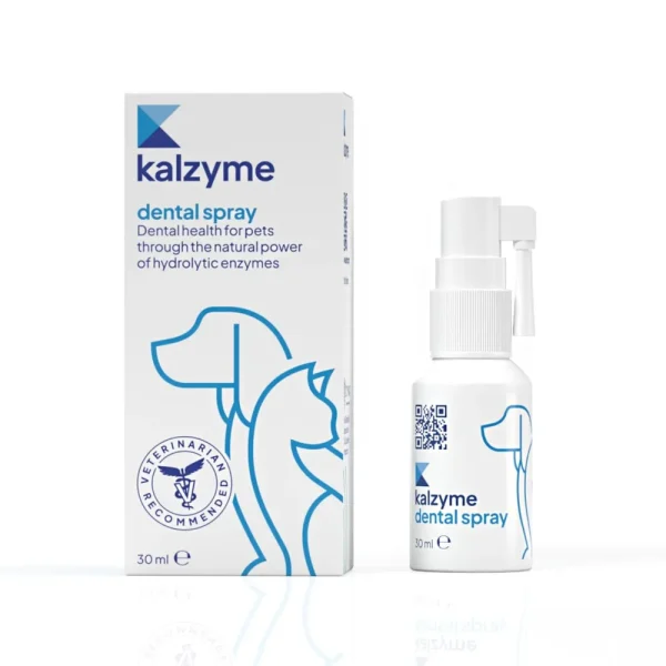 Kalzyme Dental Spray 30ml